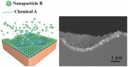 生物组织界面优化