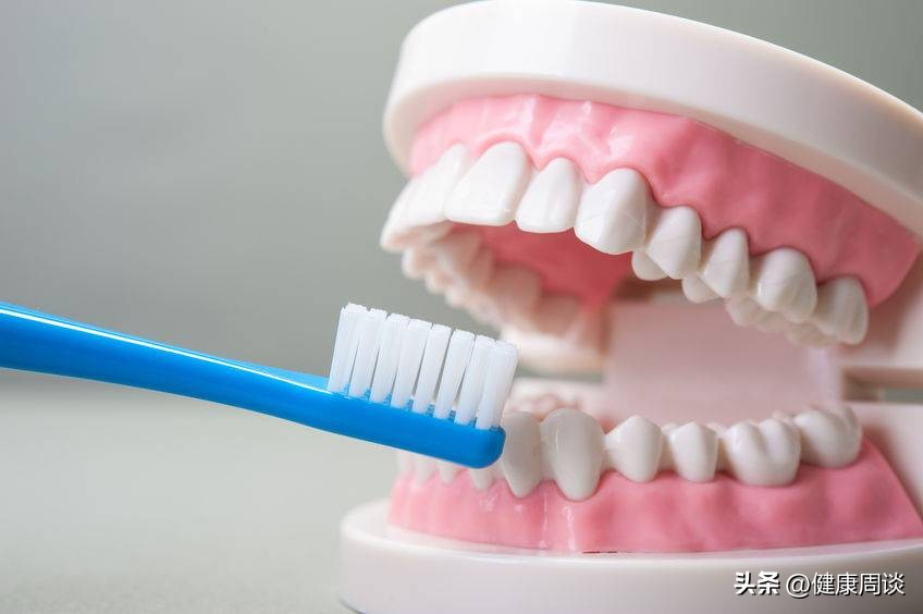 口腔修复体性能检测